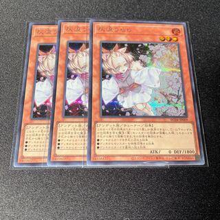 Ash Blossom & Joyous Spring Secret Rare JP009 3 copies