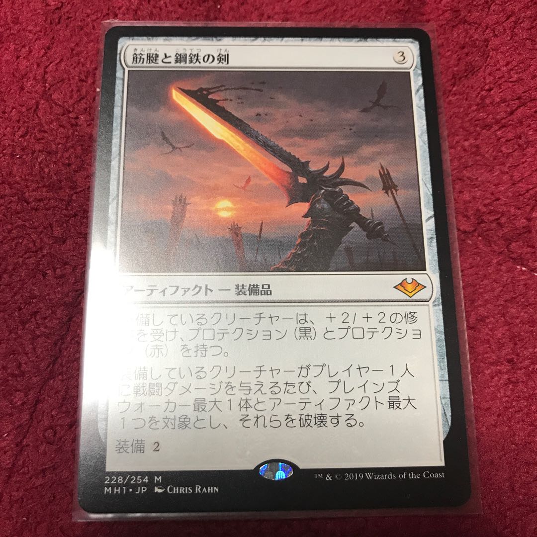 筋腱と鋼鉄の剣