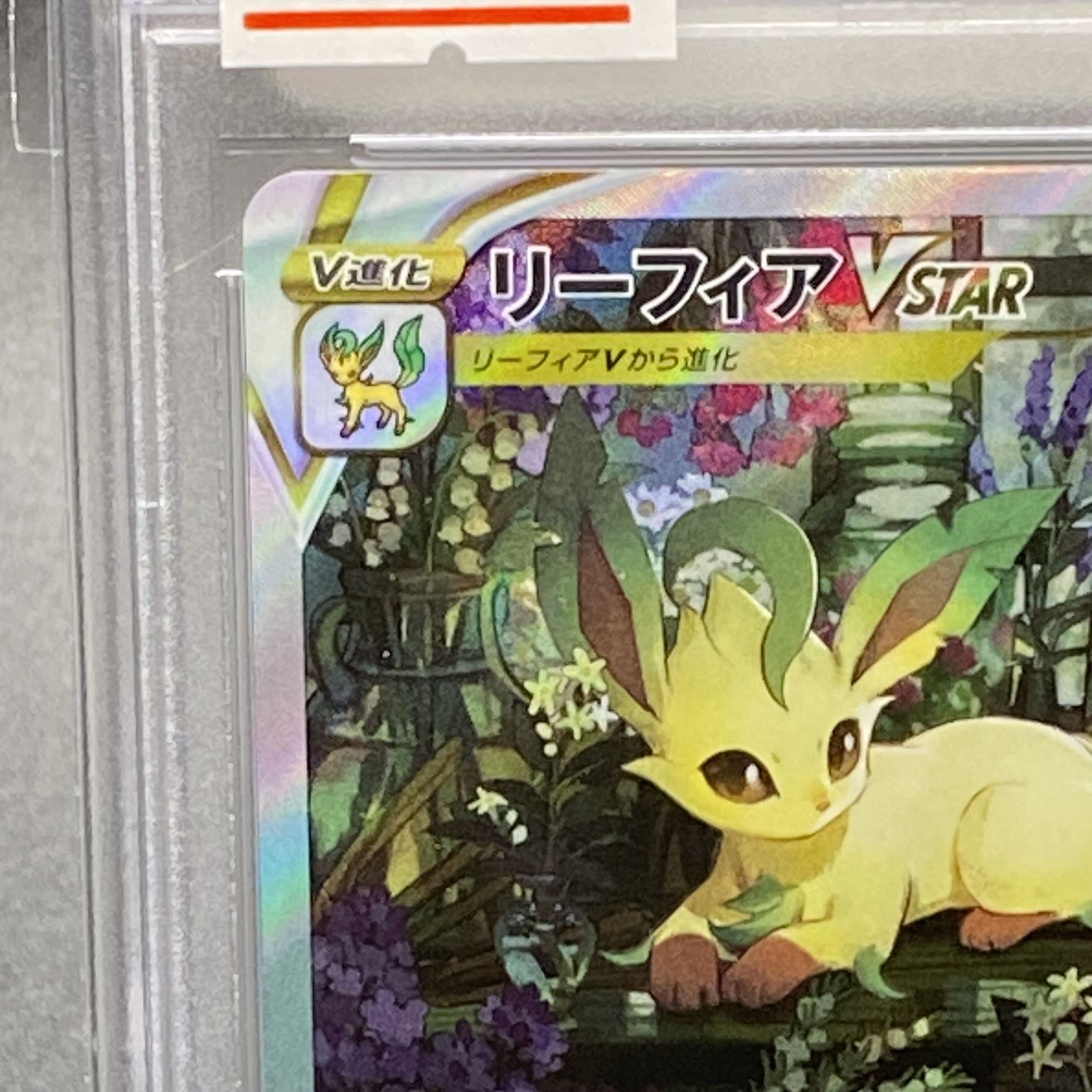 PSA10 LeafeonVSTAR SAR 210/172