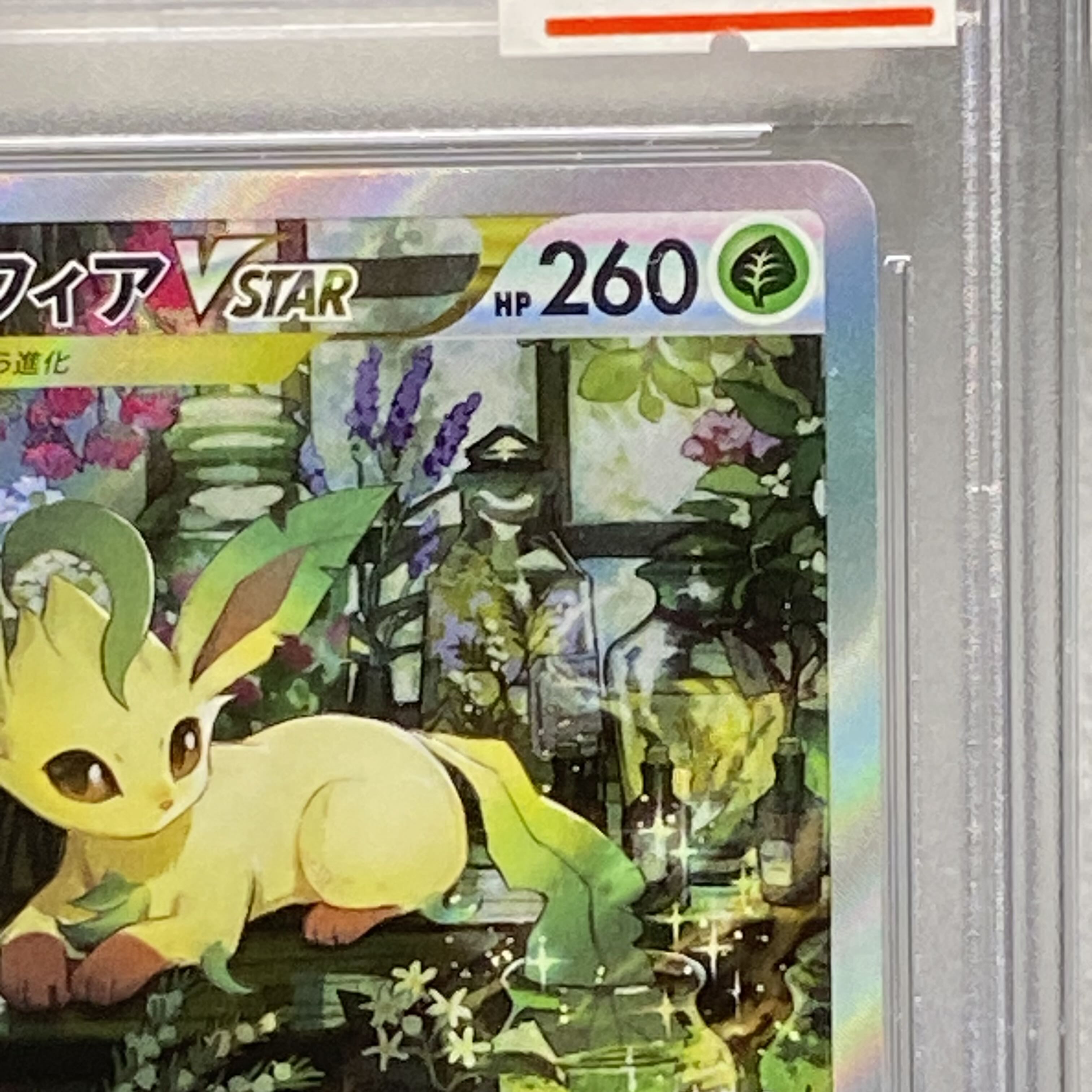 ポケモンカード リーフィア　Vstar PSA10 開梱 設置?無料 】 ① 【PSA10】リーフィアVSTAR SAR 210/172の
