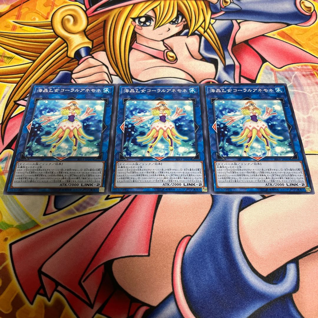 Marincess Coral Anemone Normal JP041