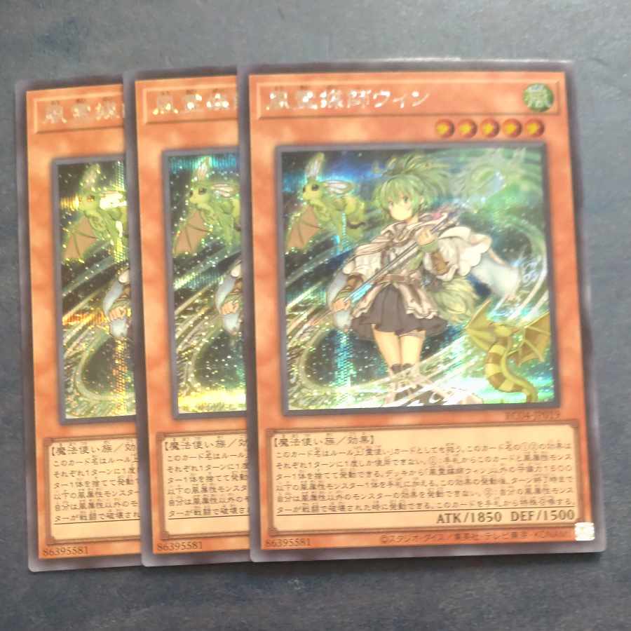 Wynn the Wind Channeler Secret Rare JP019✕3 [Korindo