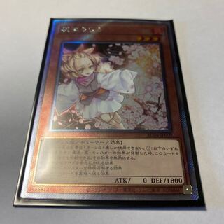 Ash Blossom & Joyous Spring EXSE JP009