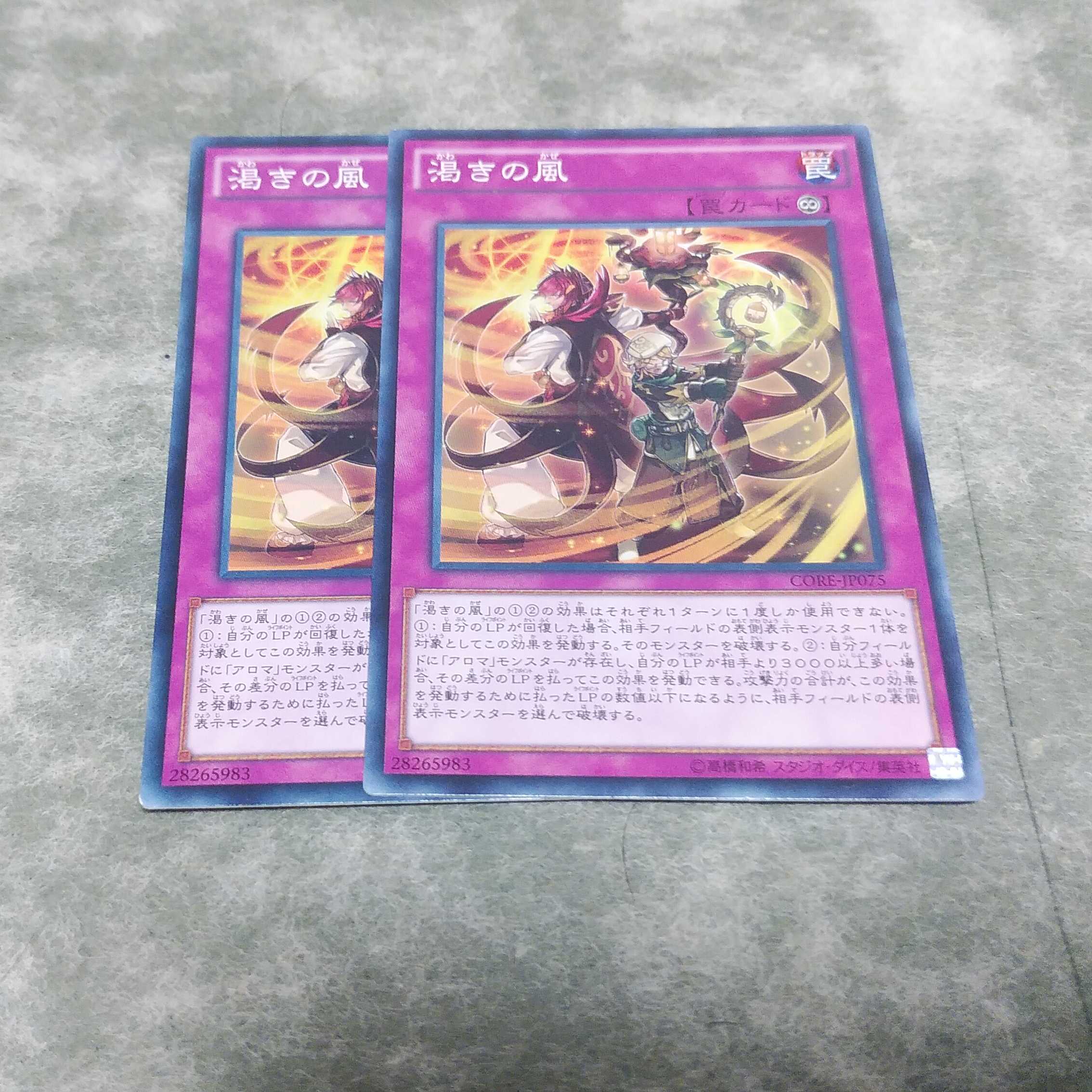 Dried Winds 2 copies Free shipping Mute Normal JP075 CORE