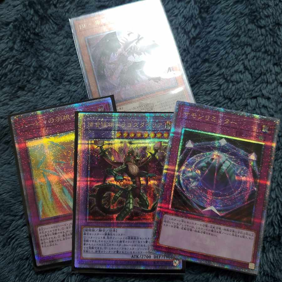 Predaplant Dragostapelia and others QSE set