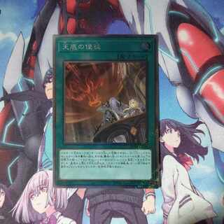 Nadir Servant EXSE JP063