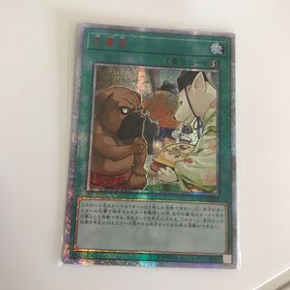 犬賞金 アジア 20th 亜シク