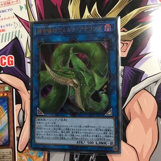 捕食植物ヴェルテ・アナコンダ UR