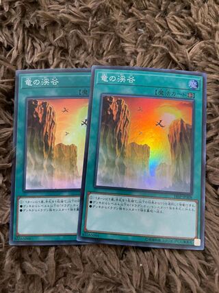竜の渓谷 スーパーレア JP308 2枚