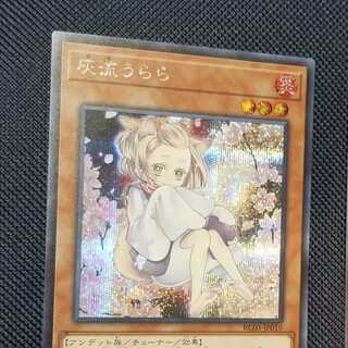 灰流うらら(イラスト違い)【シク】