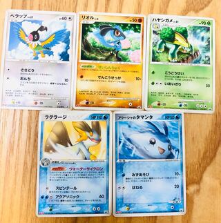 Pocketka Meiji Promo Mantyke Swampert Chatot Riolu Grotle