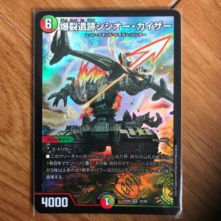 シシオーカイザー