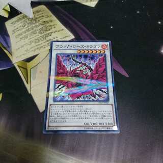 black-rose dragon (Draco nigrofuscus)