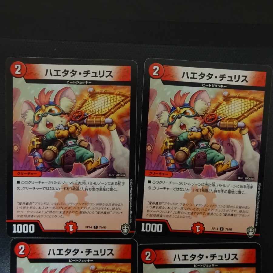 Haetata Chu Squirrel C 78/95