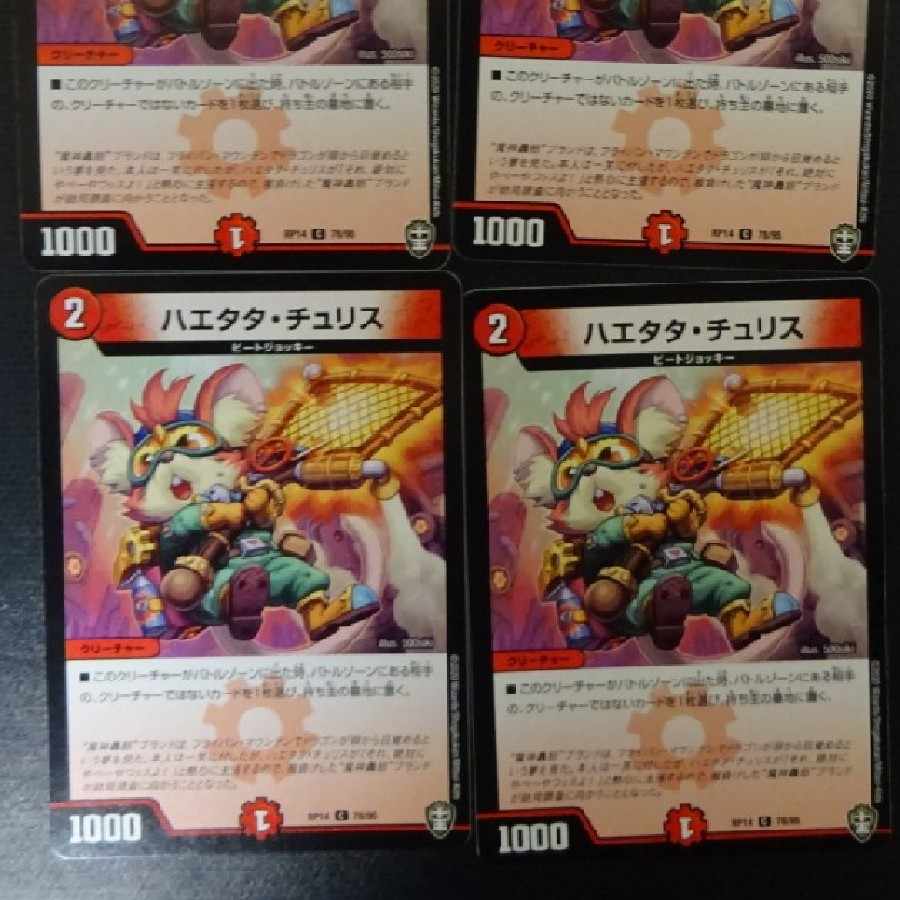 Haetata Chu Squirrel C 78/95