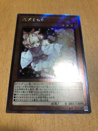 Ash Blossom & Joyous Spring EXSE JP009