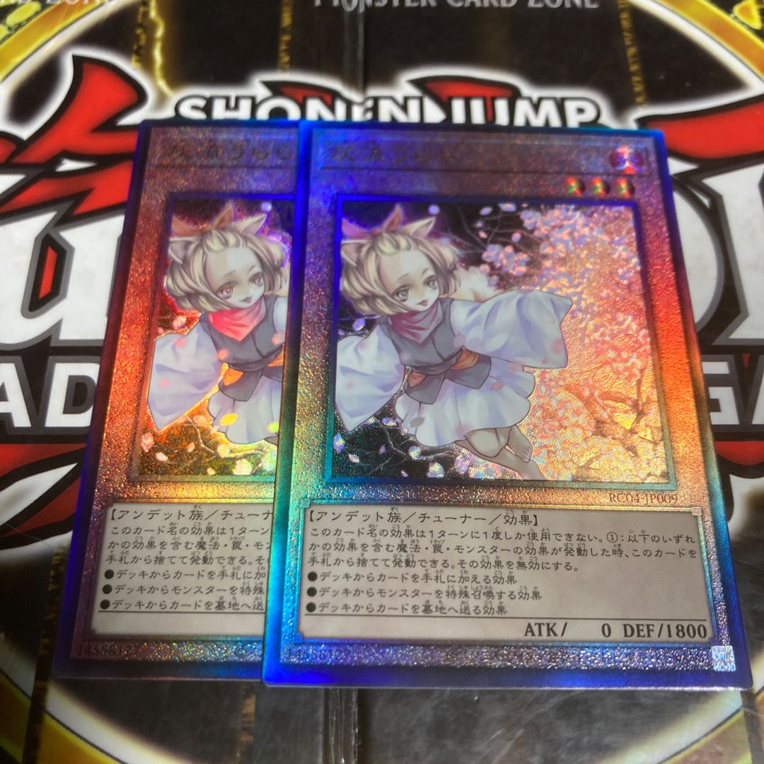 Gioi Ash Blossom & Joyous Spring Relief Ultimate