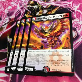 Kami Hoshuten Zark Zevol C 73/75 22EX2