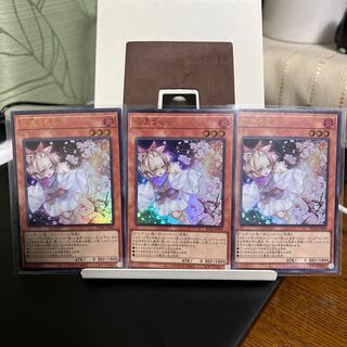 Ash Blossom & Joyous Spring [Collector Shik 3-card set] RC04-JP009