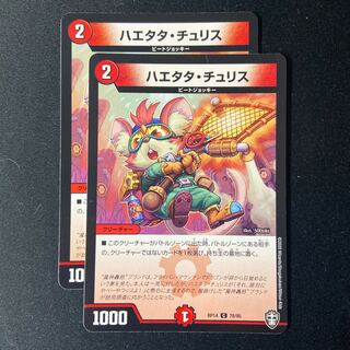 Haetata Chu Squirrel C 78/95