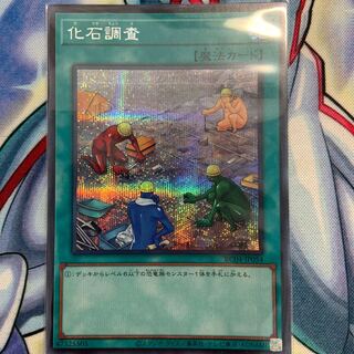 Fossil Dig Secret Rare JP054 1 copy