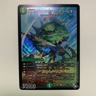 Roaring turn! Grand Slam Scorpion SR S8/S8