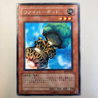 ［R］ファイバー・ポッド