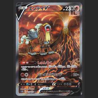 EnteiV [near] SAR/Control: MP3849