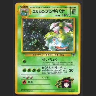 Erika's Venusaur LV.45 [Plaid] old back/managed by MP3905