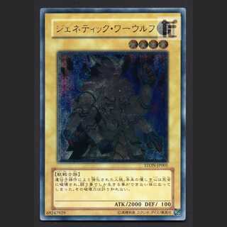 Gene-Warped Warwolf [Near] Relief/Control: MY0892