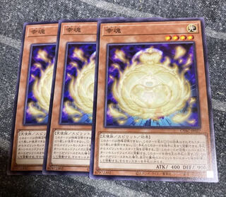 Fortunate soul Normal JP027