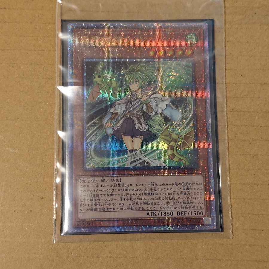 Wynn the Wind Channeler QSE JP019