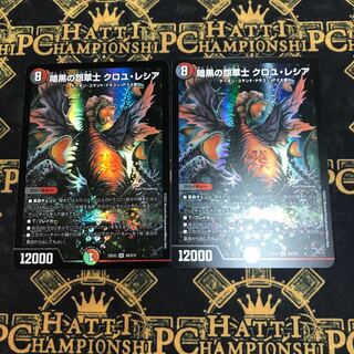 Darkness Grudge Grass Warrior Croyle Lecia SR H6A/H12 2 copies