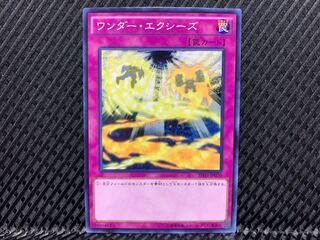 【アゴ之内】遊戯王 ワンダー・エクシーズ ノーマル