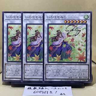 Iroha momiji normal JP042