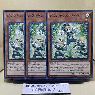 Prank-Kids Fansies Normal JP014