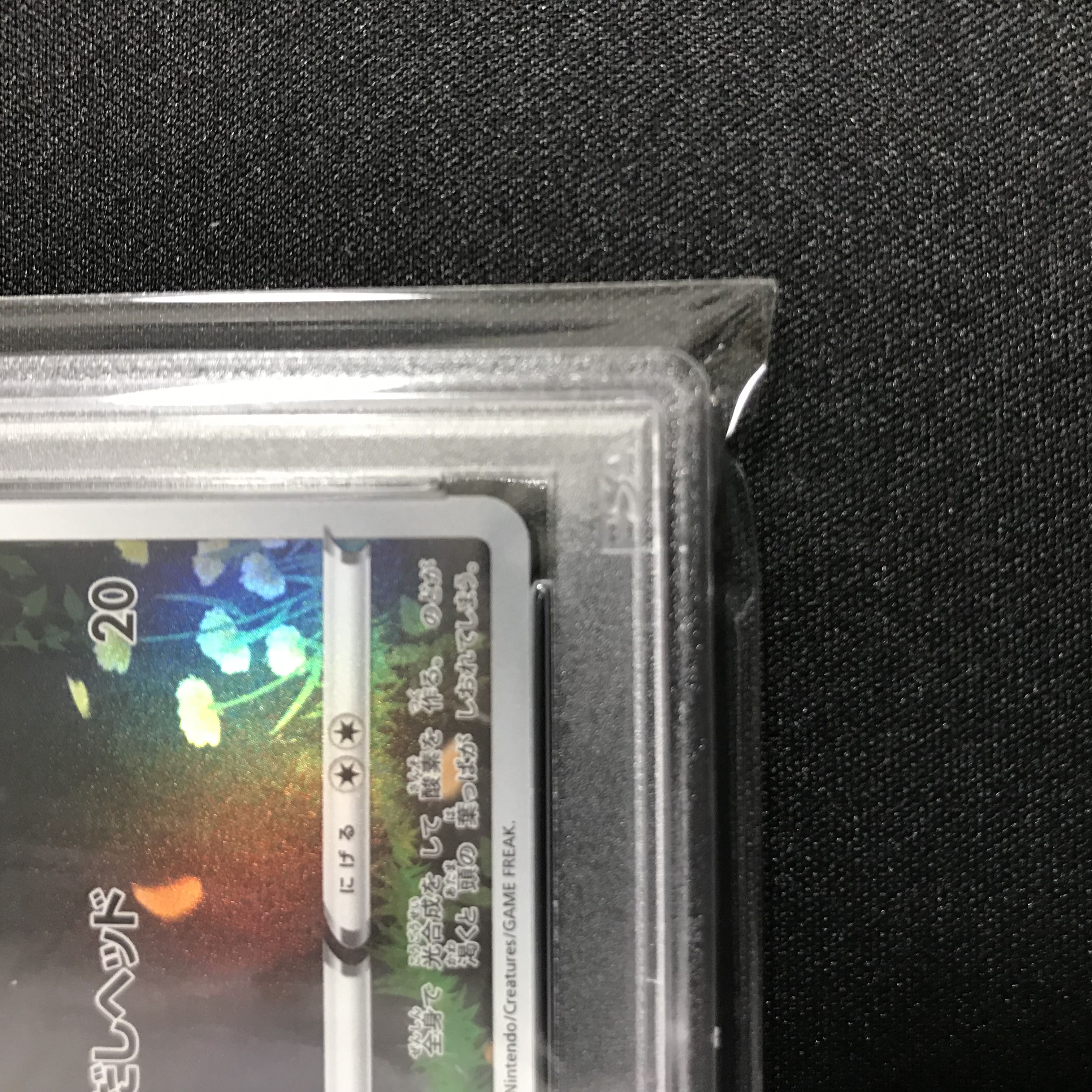 Pokemon Card TurtwigAR PSA10