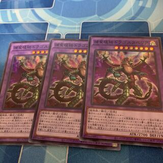 Predaplant Dragostapelia Super Rare JP028