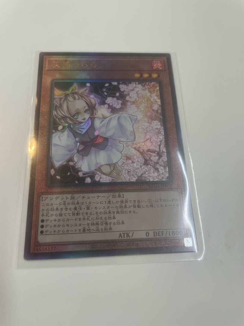 Ash Blossom & Joyous Spring Ultimate