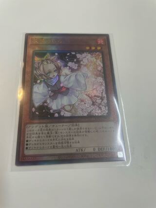 Ash Blossom & Joyous Spring Ultimate