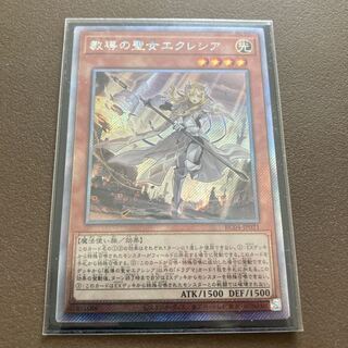 Dogmatika Ecclesia, the Virtuous EXSE JP021