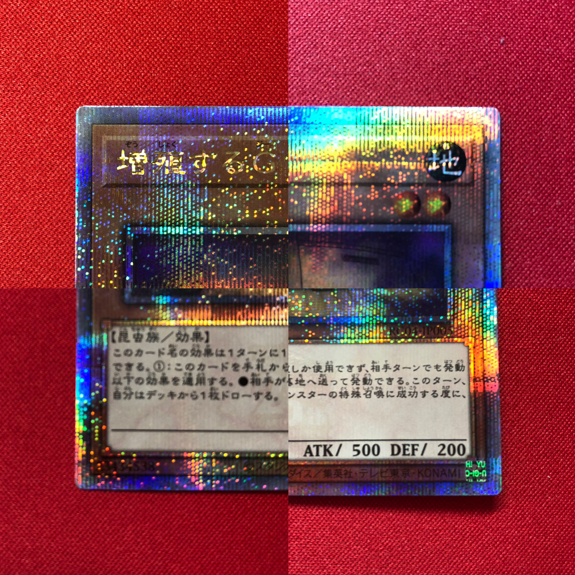 Maxx "C" 25th Sikh Rare Collection