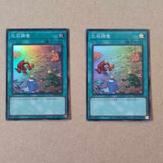 Fossil Dig Super Rare JP409