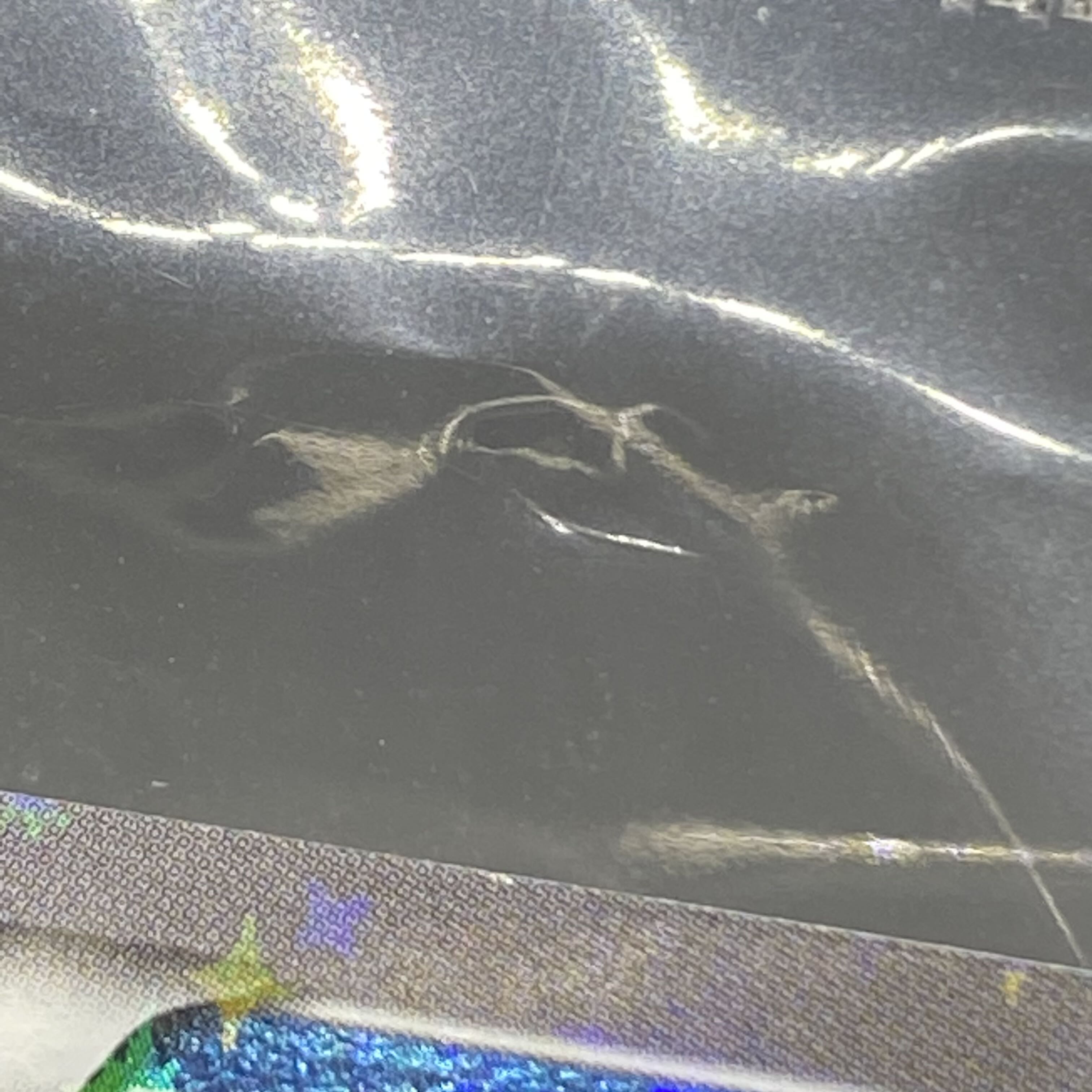 マリオピカチュウ 未開封 PROMO  1枚