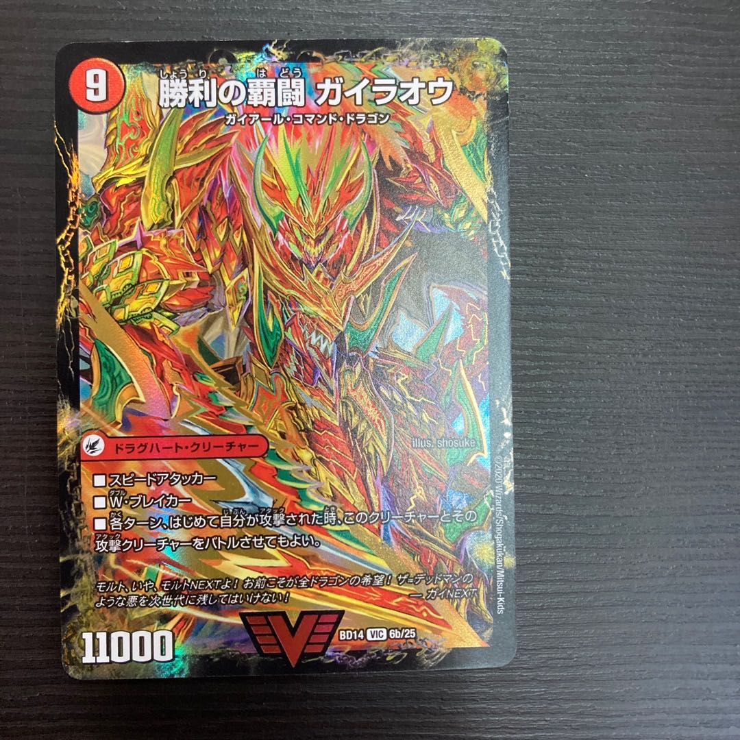 HaFighting Shoguryu Sword Gaiowan｜Victory HaFighting Gairaowan VIC 6a/25｜6b/25