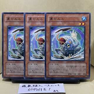 裏ガエル ノーマル JP029