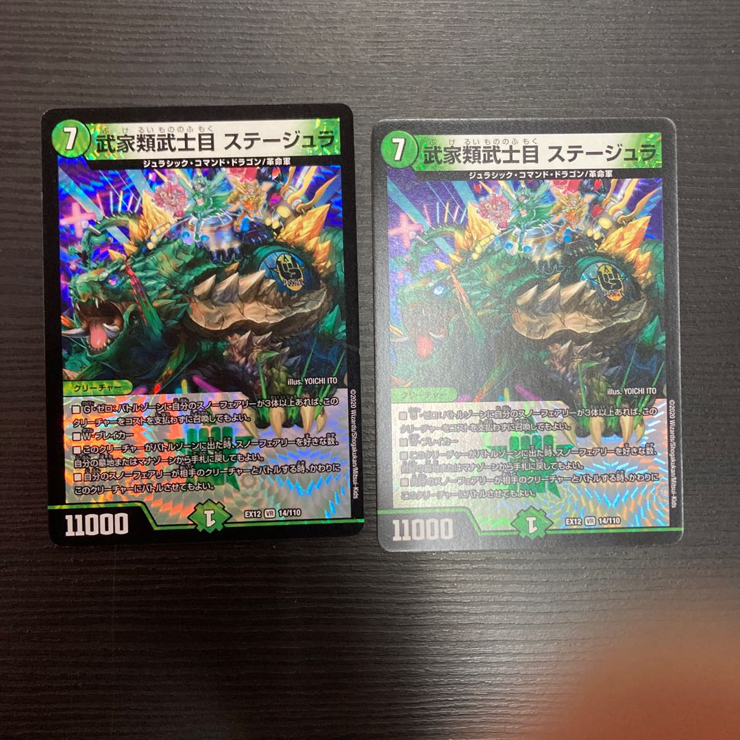 Samurai family Samurai order Stejura, VR 14/110.