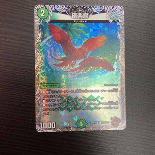 Birds of Paradise (Black Treasure) R T12/T20