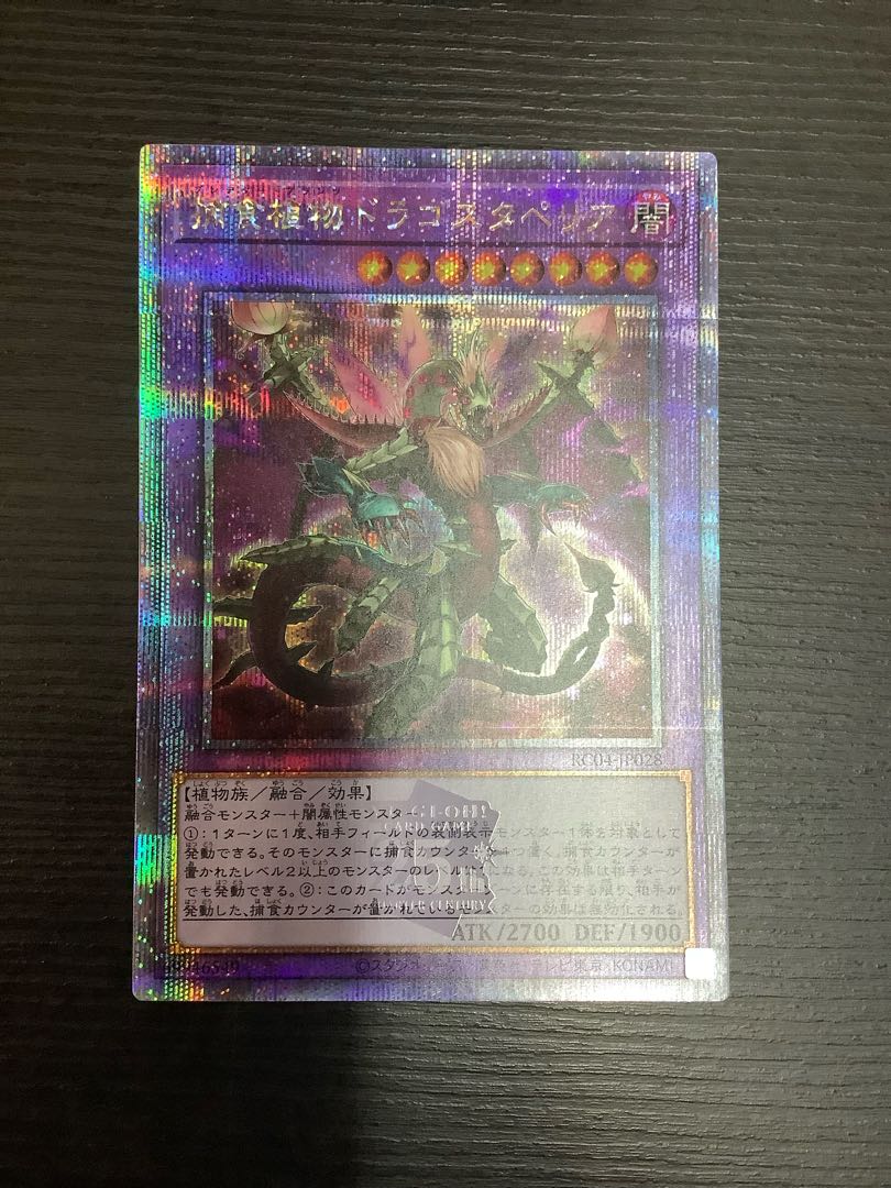 Predaplant Dragostapelia QSE JP028