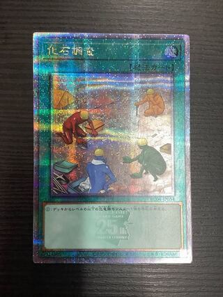 Fossil Dig QSE JP054